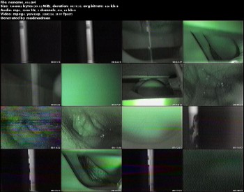 bd73f1156882422.jpg