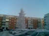 imagebam.com